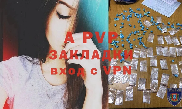 шишки Гусь-Хрустальный