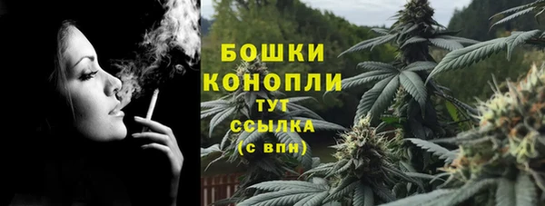 шишки Гусь-Хрустальный