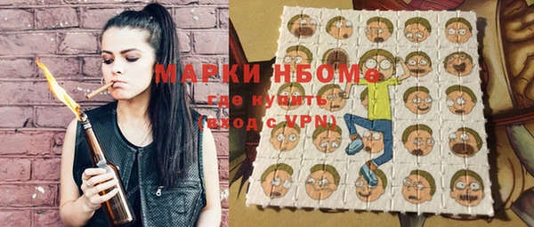 гидропоника Горняк
