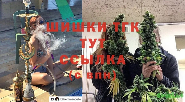 гидропоника Горняк
