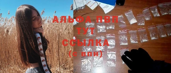 прущие крисы Гусев