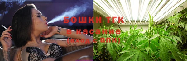 шишки Гусь-Хрустальный