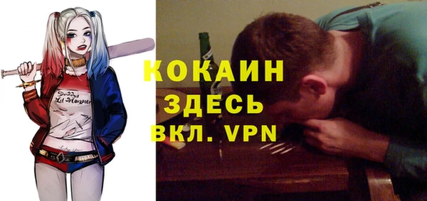 гидропоника Горняк