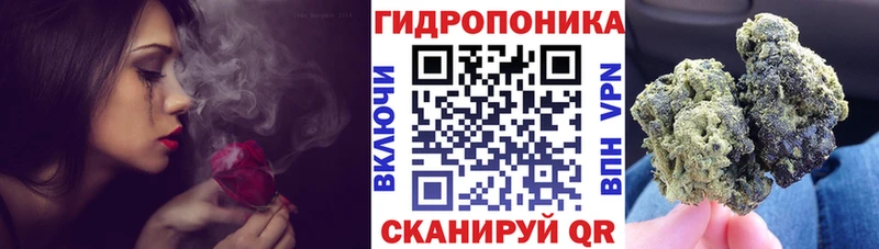 KRAKEN ONION  Одинцово  Канабис план 